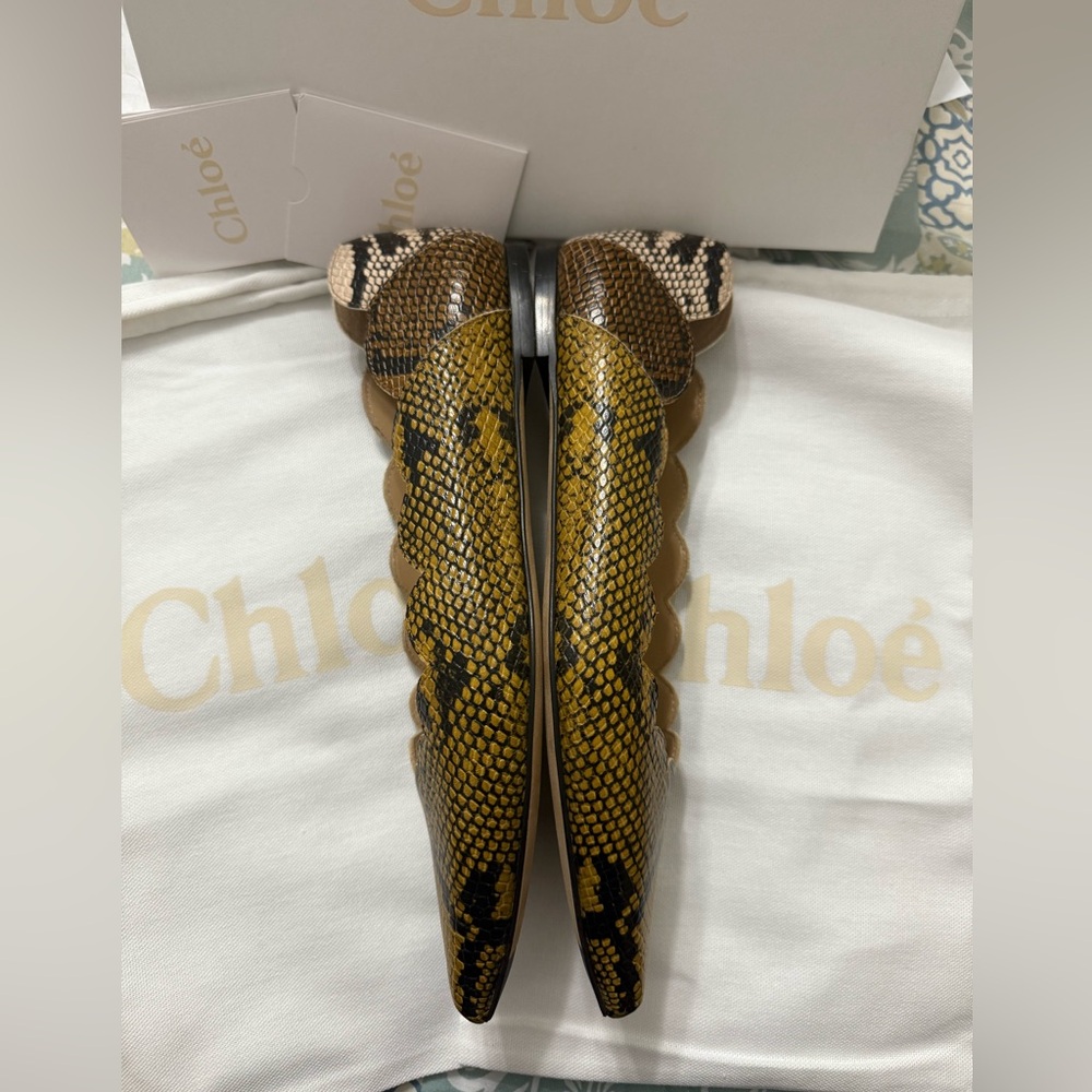 Chloe Leather Ballet Flats Python Scalloped Multicolored Size 9.5 New in Box - Picture 4 of 8